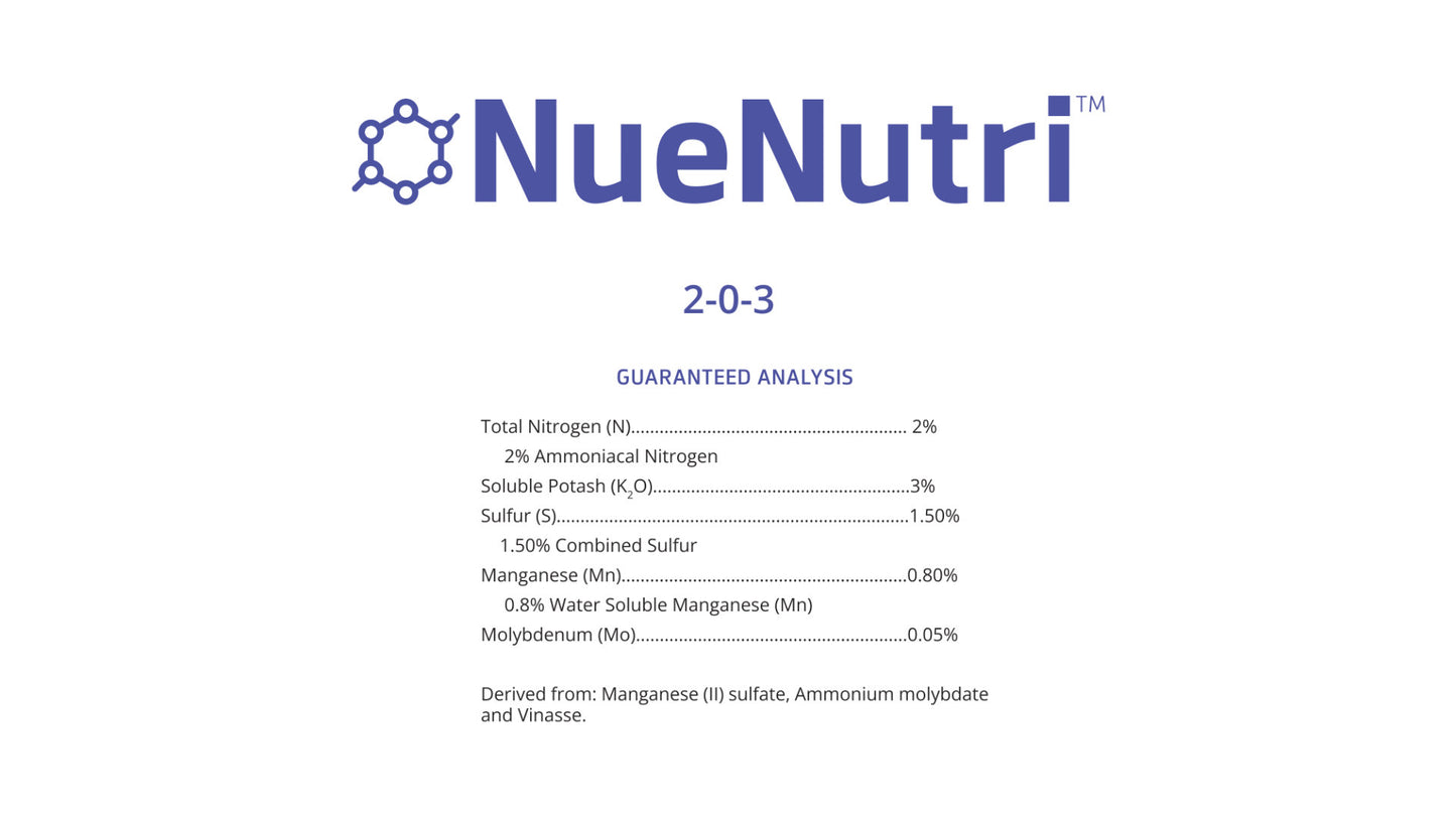 NueNutri