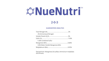NueNutri